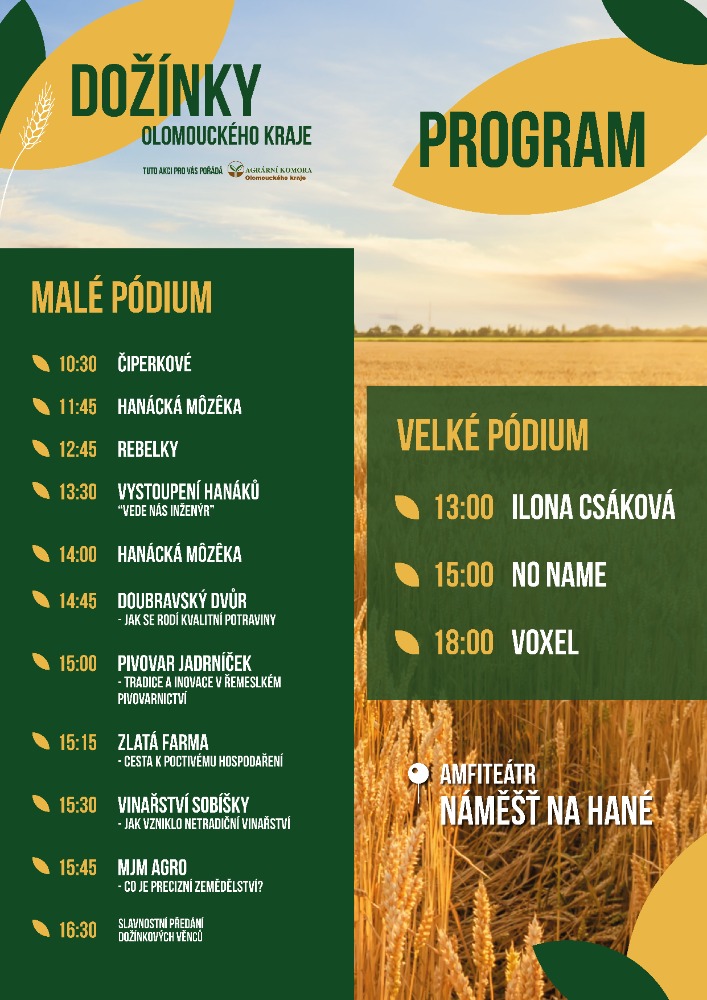 program 