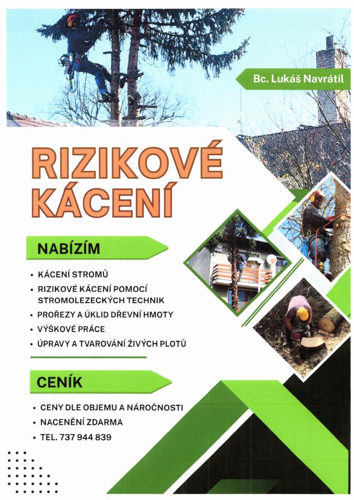 rizikolvé kácení