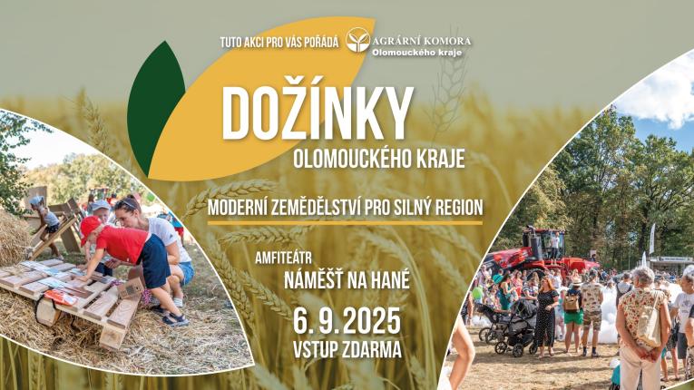 plakát